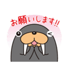 トドクロちゃん（個別スタンプ：12）