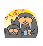 トドクロちゃん（個別スタンプ：13）