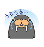 トドクロちゃん（個別スタンプ：14）