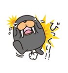 トドクロちゃん（個別スタンプ：19）