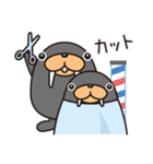 トドクロちゃん（個別スタンプ：36）