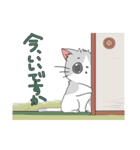 ぶち猫（個別スタンプ：2）