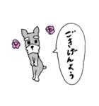 たち耳しゅなの”あらお”3（個別スタンプ：15）