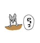 たち耳しゅなの”あらお”3（個別スタンプ：38）