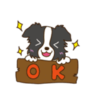 I love Border Collie！！（個別スタンプ：1）