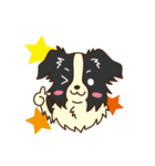 I love Border Collie！！（個別スタンプ：9）