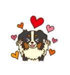 I love Border Collie！！（個別スタンプ：13）