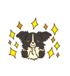 I love Border Collie！！（個別スタンプ：19）