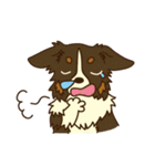 I love Border Collie！！（個別スタンプ：21）