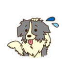 I love Border Collie！！（個別スタンプ：34）
