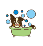 I love Border Collie！！（個別スタンプ：36）