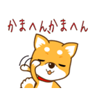 -柴犬～むさしの旅～関西弁編-（個別スタンプ：17）