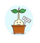 Happy Plant Pino（個別スタンプ：1）
