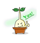 Happy Plant Pino（個別スタンプ：4）