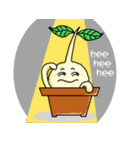 Happy Plant Pino（個別スタンプ：5）
