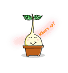 Happy Plant Pino（個別スタンプ：6）