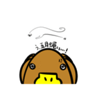 かものはしさん（個別スタンプ：31）