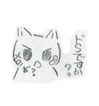 S猫Baka兎弱熊（個別スタンプ：13）