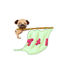 パグ ハグ（個別スタンプ：5）