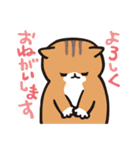 猫のサダヲ（個別スタンプ：31）