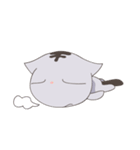 Tama（個別スタンプ：3）