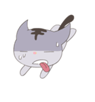 Tama（個別スタンプ：12）