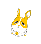 Winny Bunny（個別スタンプ：9）