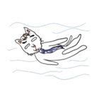 ふとまゆのねこ（個別スタンプ：4）