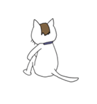 ふとまゆのねこ（個別スタンプ：13）