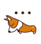 コーギー犬  スモールグレープフルーツ（個別スタンプ：3）