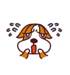 コーギー犬  スモールグレープフルーツ（個別スタンプ：12）