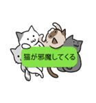 会話を邪魔する猫（個別スタンプ：1）