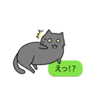 会話を邪魔する猫（個別スタンプ：29）