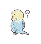 インコ人間（個別スタンプ：31）
