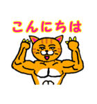 筋肉猫革命 日本語版（個別スタンプ：4）