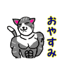 筋肉猫革命 日本語版（個別スタンプ：6）