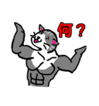 筋肉猫革命 日本語版（個別スタンプ：8）