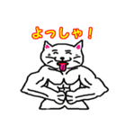 筋肉猫革命 日本語版（個別スタンプ：34）