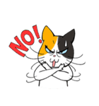 Madam Samsi（個別スタンプ：7）