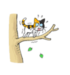Madam Samsi（個別スタンプ：9）