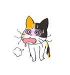 Madam Samsi（個別スタンプ：14）