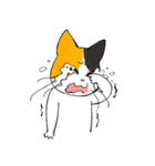 Madam Samsi（個別スタンプ：19）