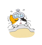 Madam Samsi（個別スタンプ：22）