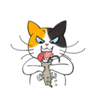 Madam Samsi（個別スタンプ：36）