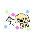 ダックスのキョロちゃん★（個別スタンプ：34）