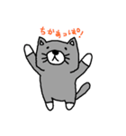 福岡猫（個別スタンプ：4）