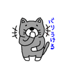 福岡猫（個別スタンプ：8）