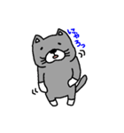 福岡猫（個別スタンプ：18）