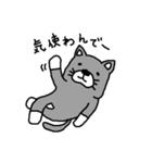 福岡猫（個別スタンプ：31）