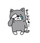 福岡猫（個別スタンプ：37）